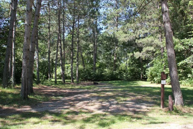 Site 7
