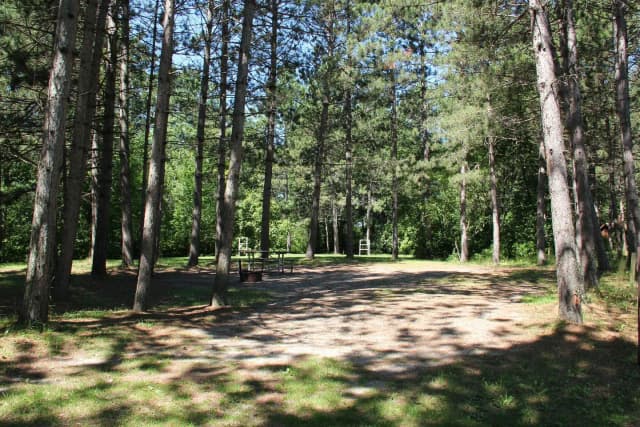 Site 8