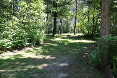 Site 12