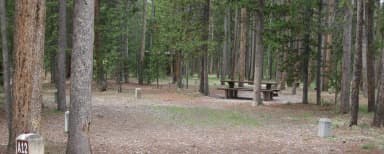 Site A11, surrounded by pine trees, picnic table & fire ring