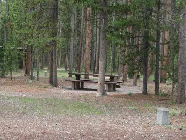 Loop A · Site A11 at Rainbow Point Campground