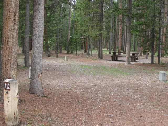 Loop A · Site A12 at Rainbow Point Campground
