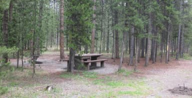 Site A13, surrounded by pine trees, picnic table & fire ring