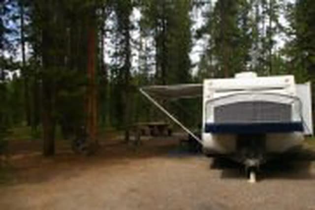 Site  A15, surrounded by pine trees, picnic table & fire ring