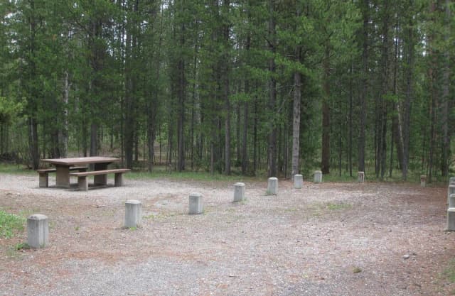 Site A16, surrounded by pine trees, picnic table & fire ring