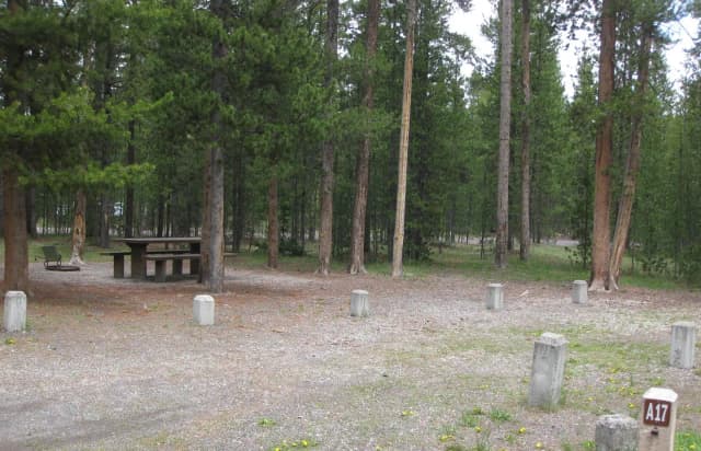 Site A17, surrounded by pine trees, picnic table & fire ring