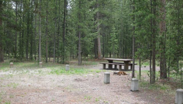 Site A18, surrounded by pine trees, picnic table & fire ring