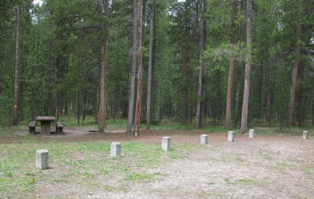 Site A3, surrounded by pine trees, picnic table & fire ring
