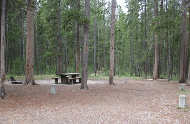 Site A5, surrounded by pine trees, picnic table & fire ring