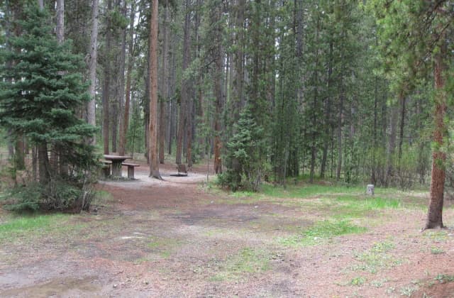 Site A6, surrounded by pine trees, picnic table & fire ring