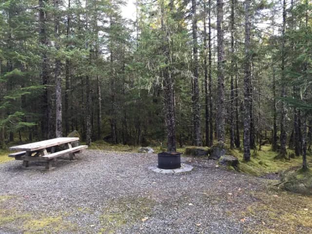 Site 063 at Mendenhall Campground