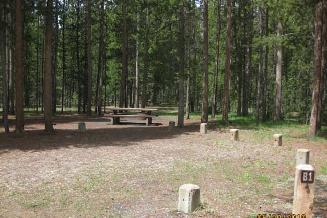 Site B1, surrounded by pine trees, picnic table & fire ring