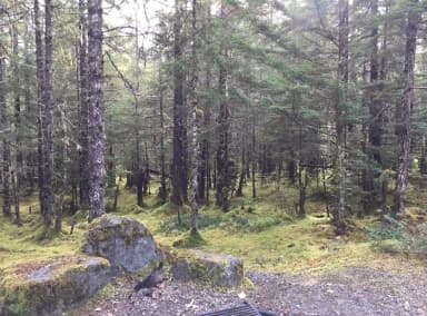 Site 064 at Mendenhall Campground