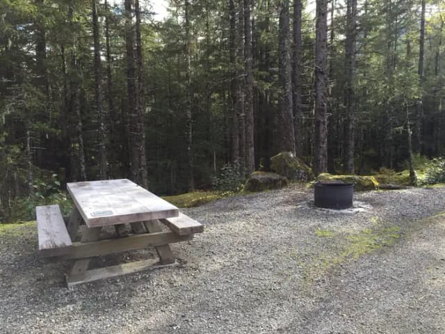 Site 065 at Mendenhall Campground