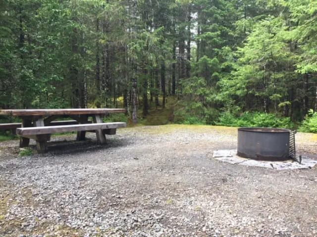 Site 061 at Mendenhall Campground