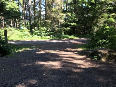 STANDARD NONELECTRIC · Site 001 at Auk Village Campground