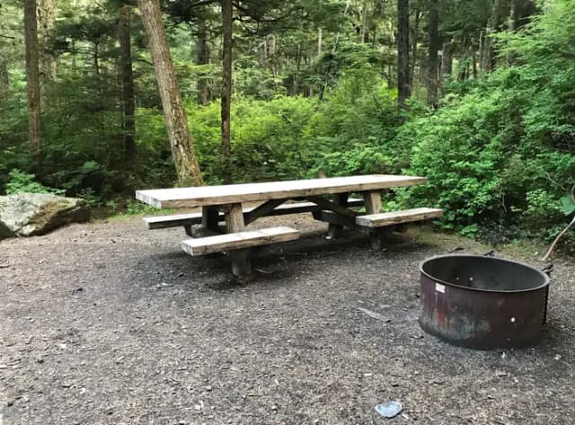 STANDARD NONELECTRIC · Site 001 at Auk Village Campground