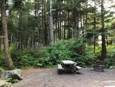 STANDARD NONELECTRIC · Site 001 at Auk Village Campground