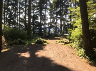 STANDARD NONELECTRIC · Site 003 at Auk Village Campground