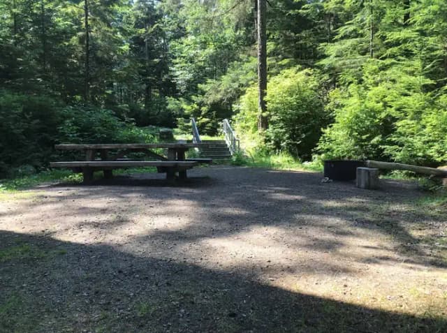 STANDARD NONELECTRIC · Site 002 at Auk Village Campground