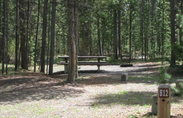 Site B12, surrounded by pine trees, picnic table & fire ring