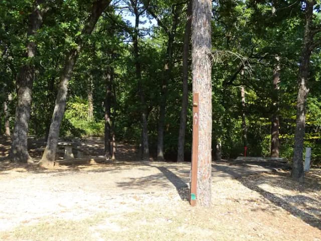 A-LO · Site A007 at Sanders Cove