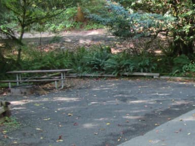 Site includes campground table and Fire ring with a 33' parking spur