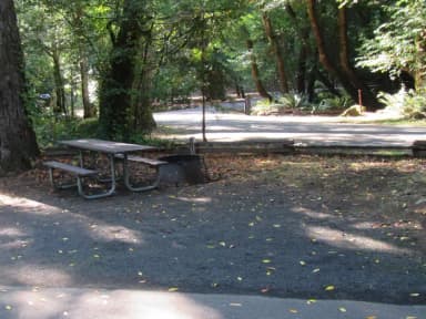 Site includes picnic table with fire ring and views of the river