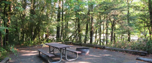 Site includes picnic table and fire ring with view of the river, parking spur length is 44'