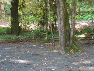 Large tent camping area, includes picnic table and fire ring
