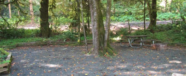 Large tent camping area, includes picnic table and fire ring
