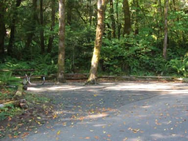46' parking spur, 2 small trees in the center of camping area