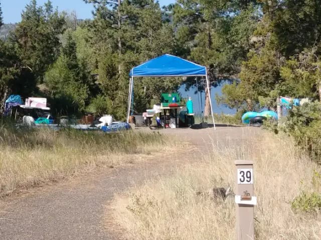 Court Sheriff Campground - Campsite 39