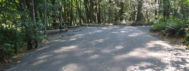 Site includes a 57' parking spur, picnic table and fire ring