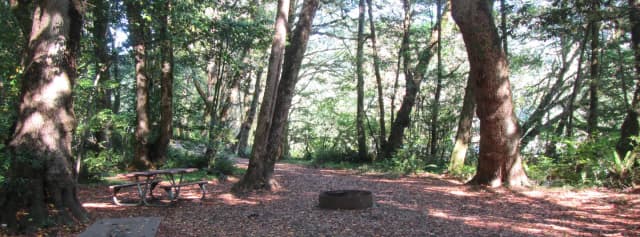 Group picnic area with fire ring and multiple picnic tables, very close to the river