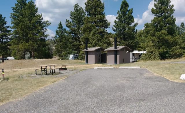 Court Sheriff Campground - Campsite 43