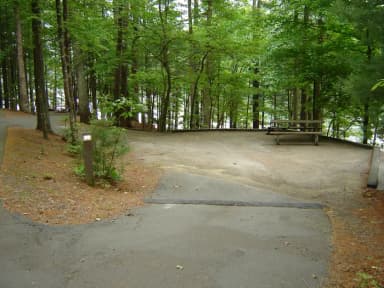 Site 29
