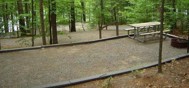 Site 28