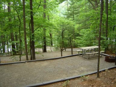 Site 28