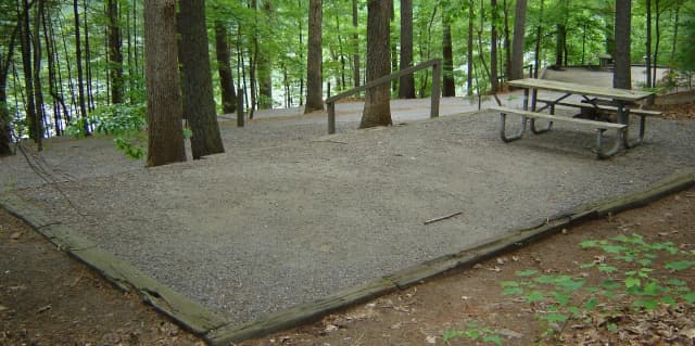 Site 31