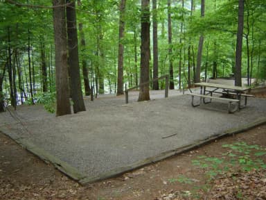 Site 31