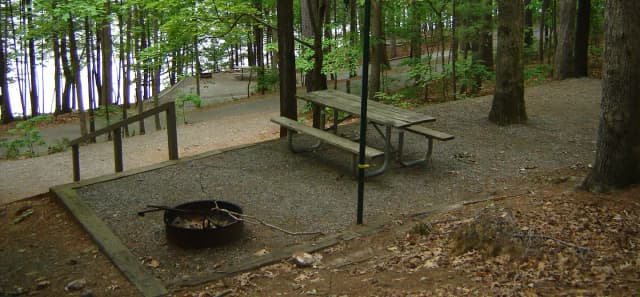 Site 35