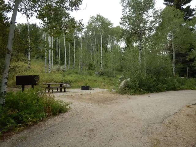 Campsite 2