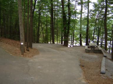 Site 36