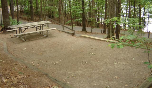Site 37