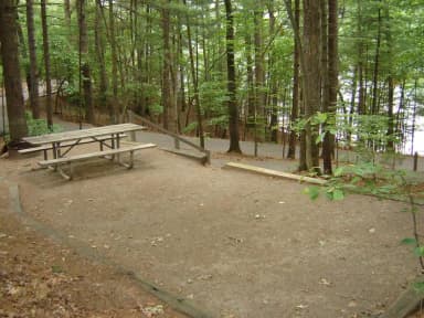 Site 37