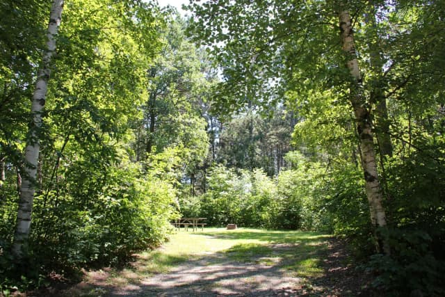 Site 14