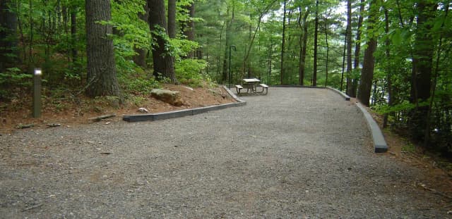 Site 38