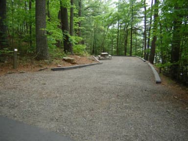 Site 38