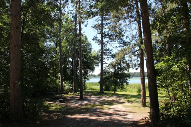 Site 15